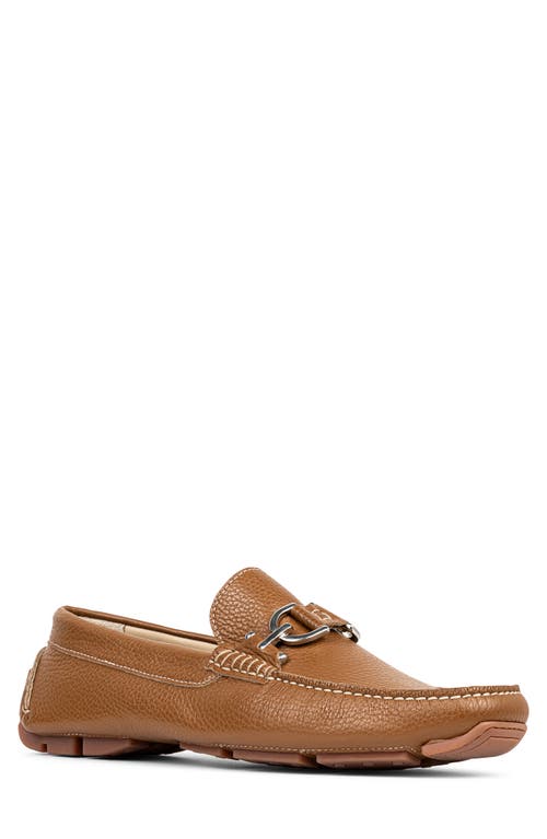 Shop Donald Pliner Dacio Driving Loafer In Saddle