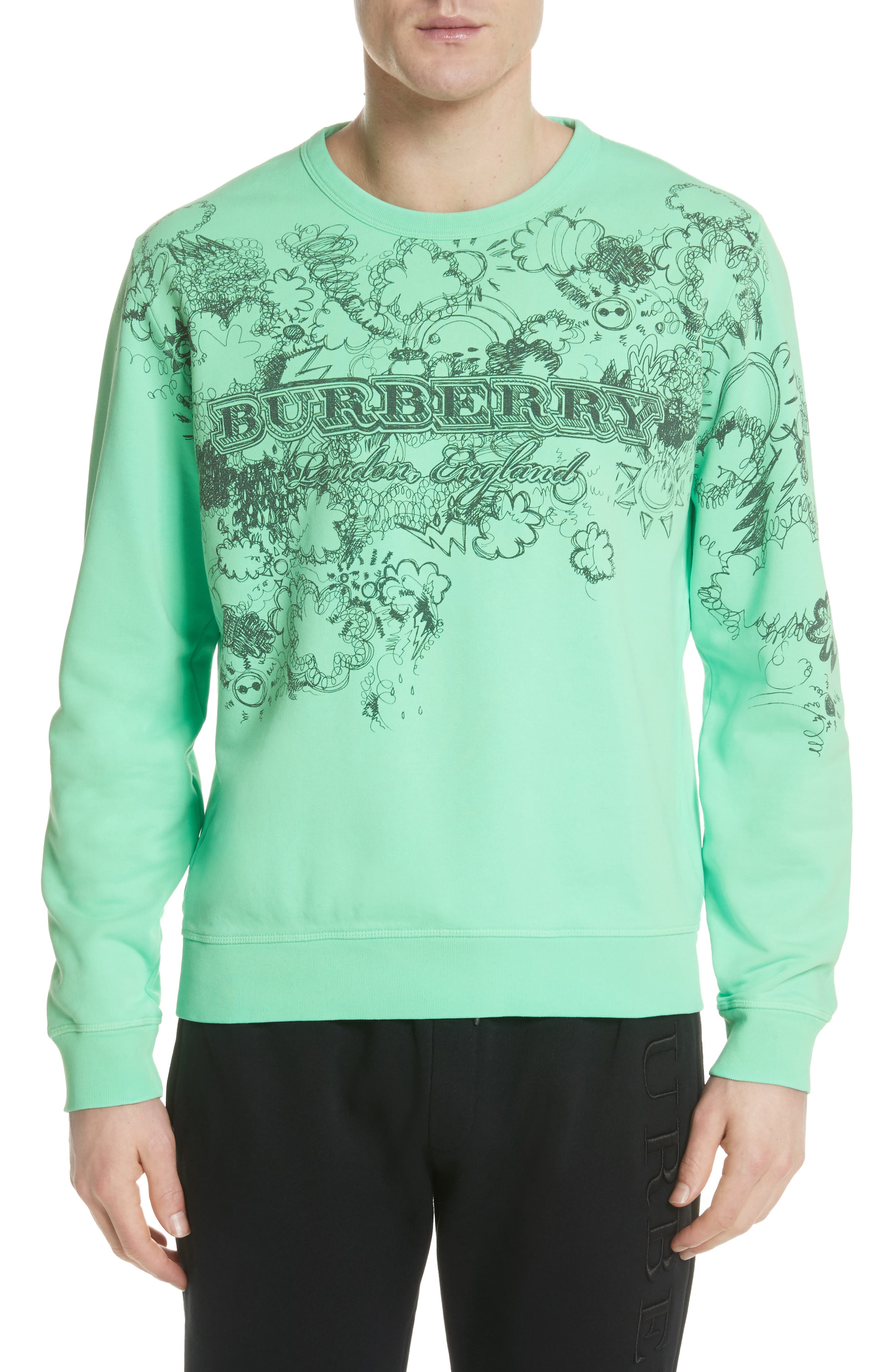 burberry green sweater