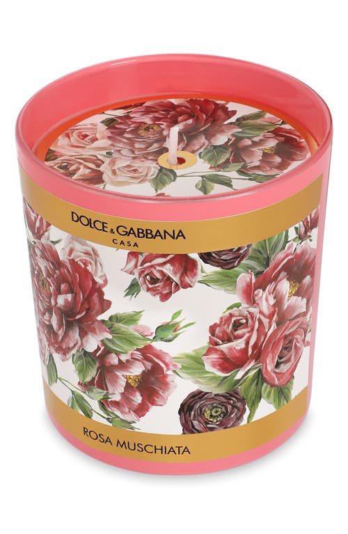 DOLCE & GABBANA DOLCE&GABBANA MUSKY ROSE SCENTED CANDLE 