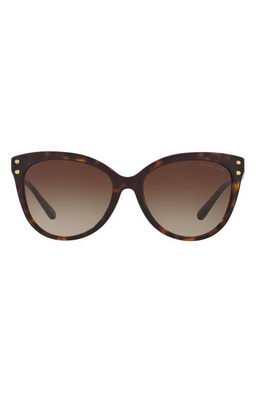 Michael Kors 55mm Gradient Cat Eye Sunglasses In Brown