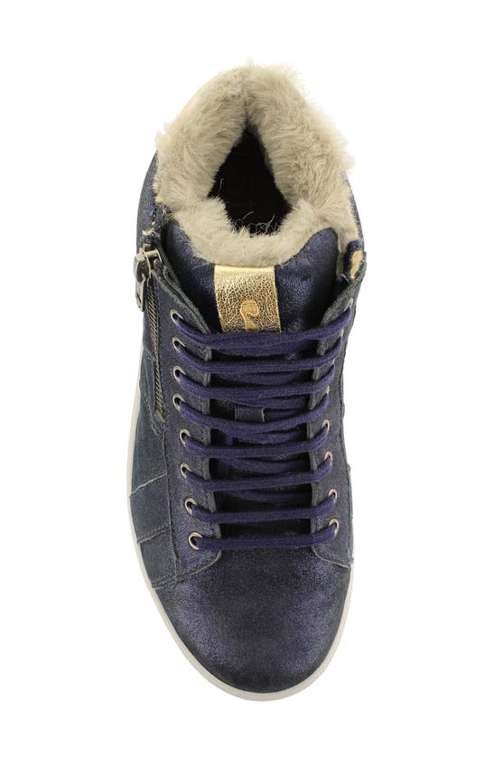 Shop Strive Chatsworth Ii Leather Hi-top Sneaker With Faux Fur Trim In Navy Sparkle