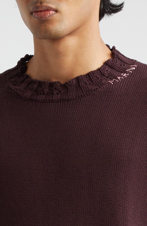 Shop Marni Oversize Distressed Cotton Crewneck Sweater In Wine