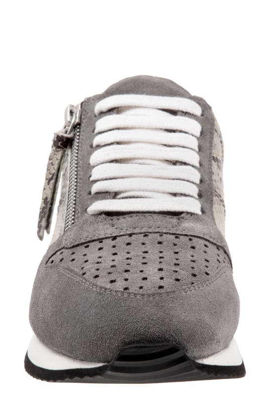 Shop Trotters Infinity Leather Sneaker In Grey Suede Snake