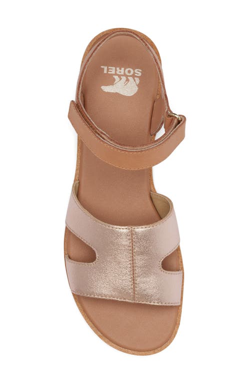 Shop Sorel Ella Iii Ankle Strap Sandal In Honest Beige/honey White