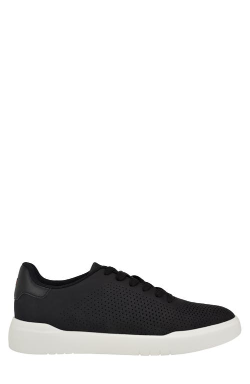 Tommy Hilfiger Men's Norwin Casual Lace Up Sneakers In Black