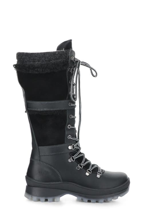 Bos. & Co. Daws Lace Up Boot In Black In Black/grey Saddle/goatlan