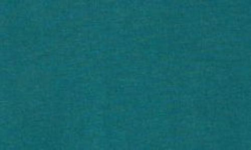 VINEYARD VINES VINEYARD VINES SLEIGH DOGS LONG SLEEVE GRAPHIC T-SHIRT
