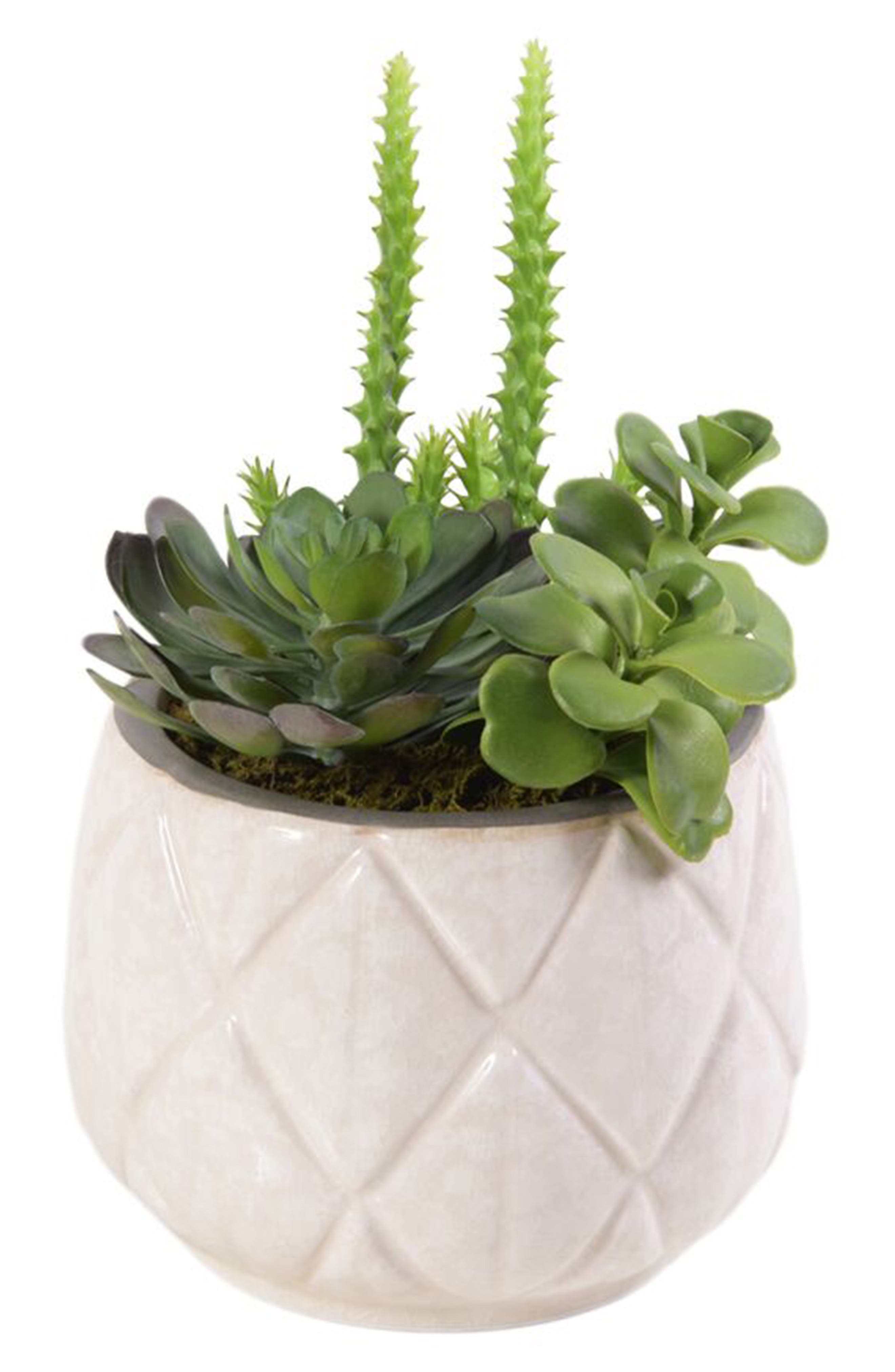 Bloomr Palm Springs Succulent Arrangement Planter Decoration