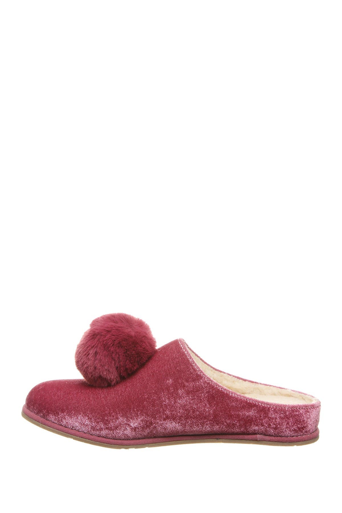 bearpaw tango slipper