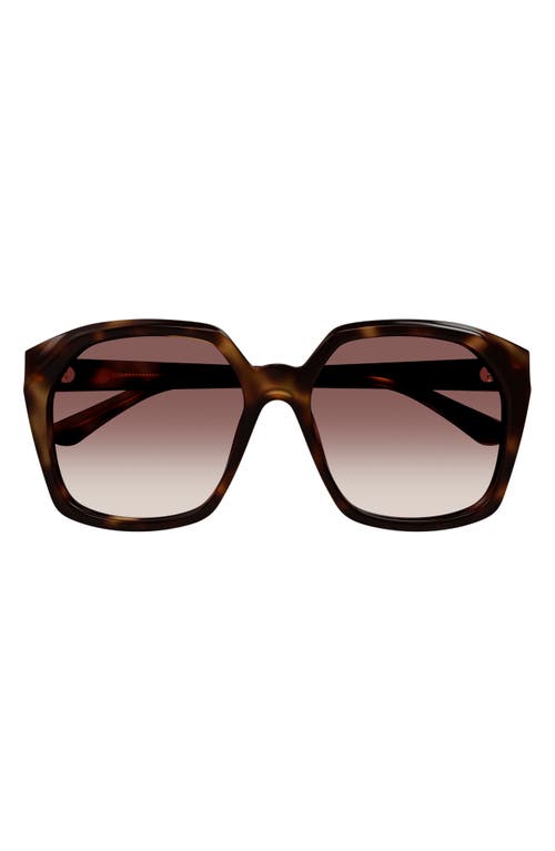 Shop Chloé 57mm Gradient Rectangular Sunglasses In Havana