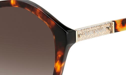 Kate Spade New York Jezebel 54mm Gradient Round Sunglasses In Havana/brown Gradient