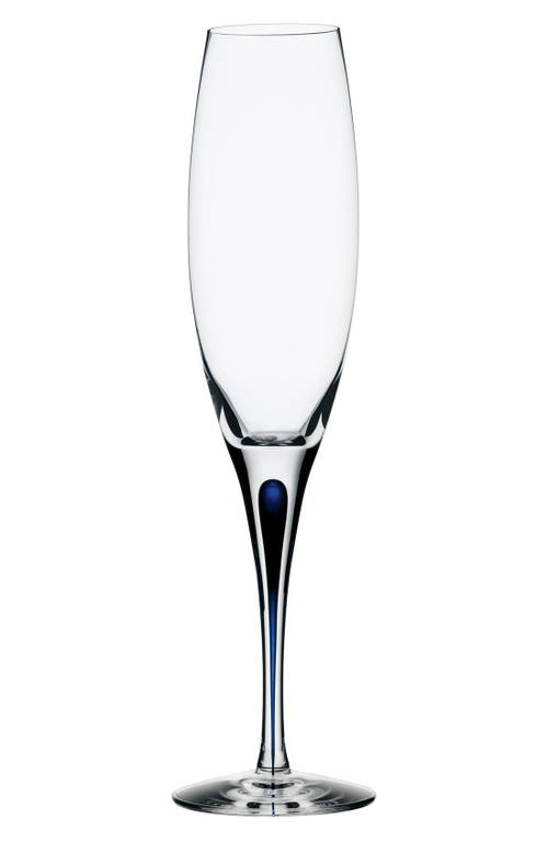Orrefors Intermezzo Champagne Flute In White