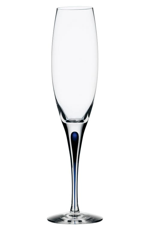 Orrefors Intermezzo Champagne Flute In Clear/blue