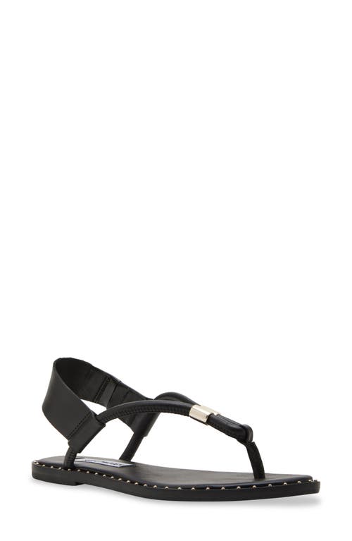 Shop Steve Madden Meduza Sandal In Black Leather