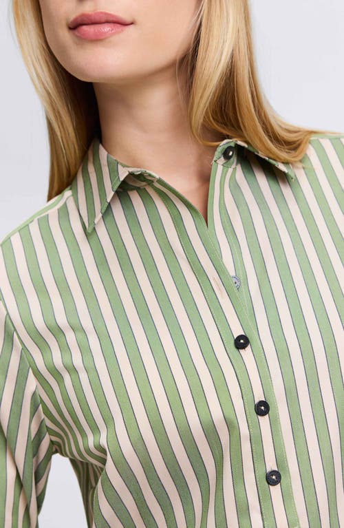 Foxcroft Madison Stripe Stretch Cotton Blend Top In Olive/neutral