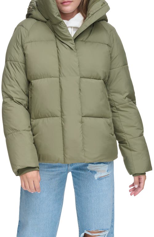 levi's Hooded Puffer Jacket at Nordstrom,