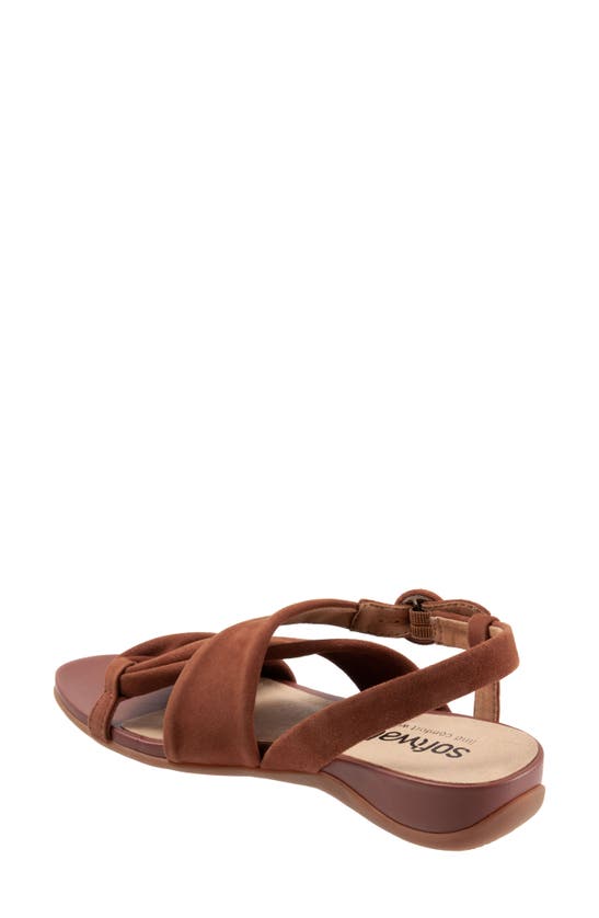 Shop Softwalk ® Tieli Sandal In Brown Toffee