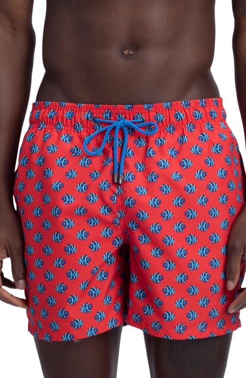 Shop Bugatchi Neat Print Swim Trunks In Ruby