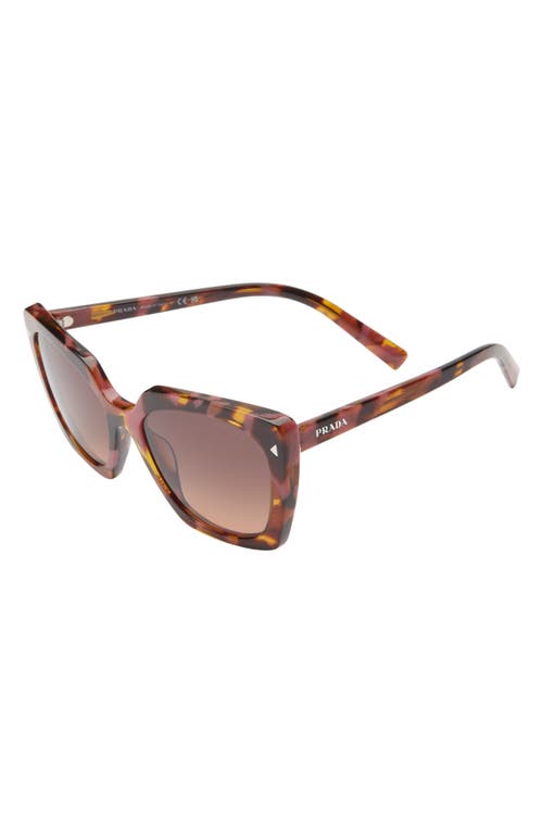 Shop Prada 52mm Square Sunglasses In Grey Tort