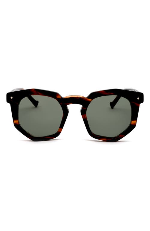 Grey Ant 47mm Round Sunglasses in Tortoise/Olive