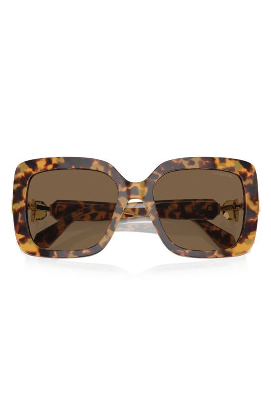 Swarovski 55mm Square Sunglasses In Lite Havana