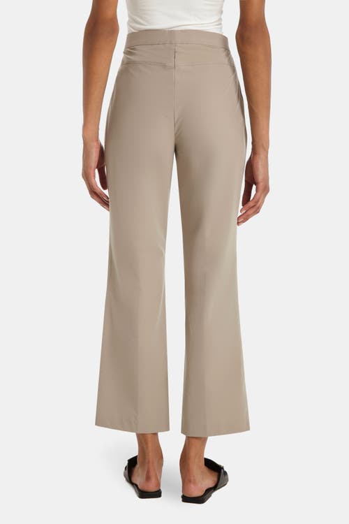 Capsule 121 The Oriole Pant In Parker Tech In Tan
