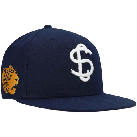 Detroit Stars Rings & Crwns Team Fitted Hat - Gray/Navy