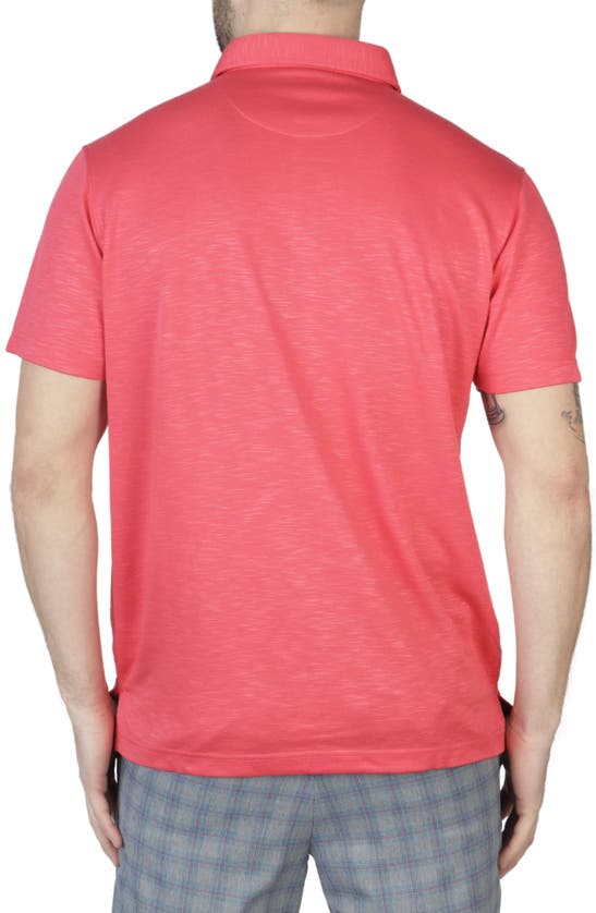 Shop Tailorbyrd Contrast Trim Micro Piqué Polo In Coral