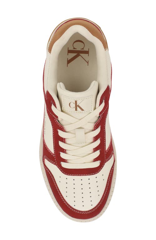 Shop Calvin Klein Ahliah Sneaker In Ivo01