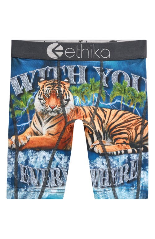 Shop Ethika Kids' Bengal Boxer Briefs In Bengal Bags