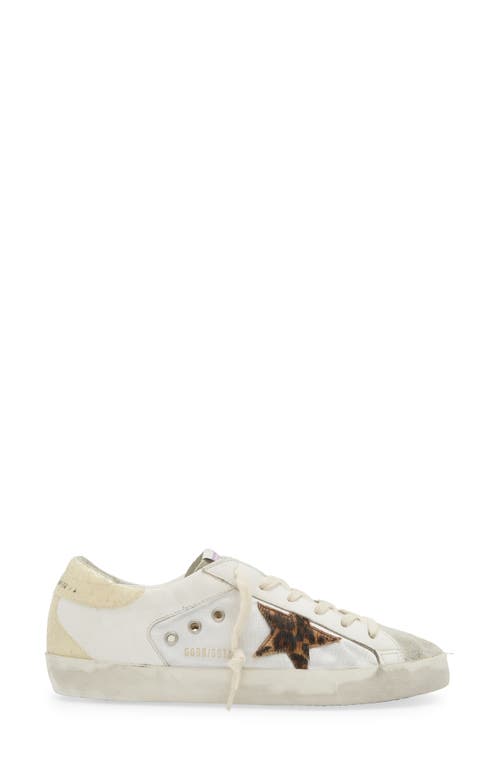 Shop Golden Goose Super-star Genuine Calf Hair Sneaker In Ivory/leopard Calf Hair