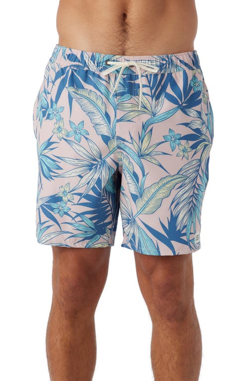 Hermosa Swim Trunks in Light Rose