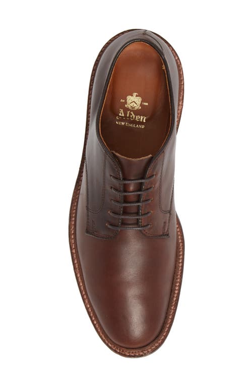 Shop Alden Shoe Company Alden Blucher Plain Toe Derby In Brown Aniline