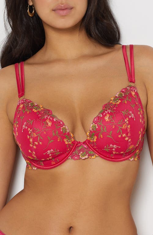 Gourmandise Embroidered Underwire Bra in Grenadine