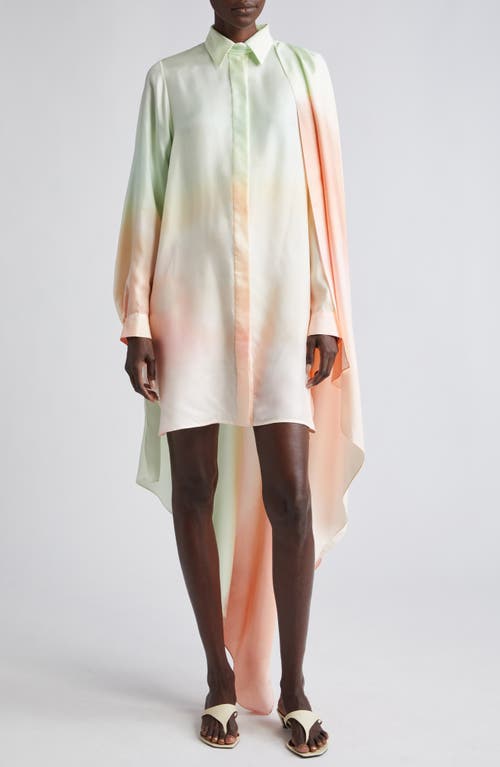 Zimmermann Natura Long Sleeve Silk Mini Shirtdress Coral Fields at Nordstrom,