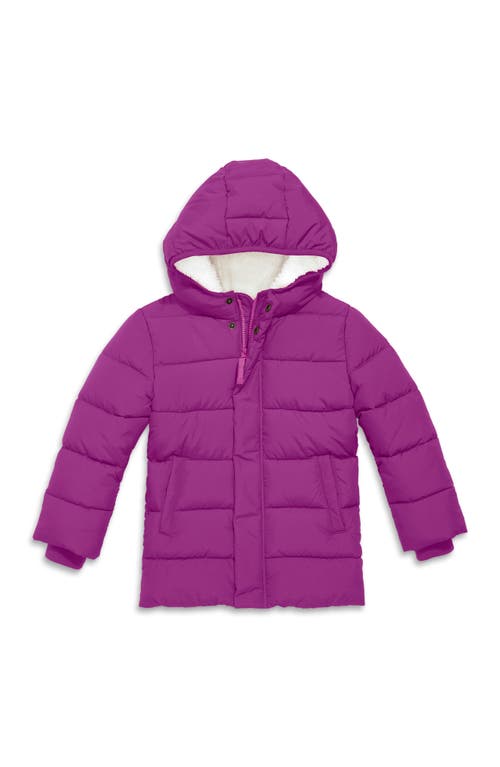 Primary Parka Puffer Coat In Boysenberry