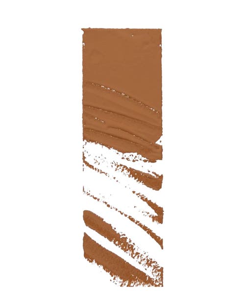 Shop Siia Cosmetics Ultimate Fit Concealer In Chestnut