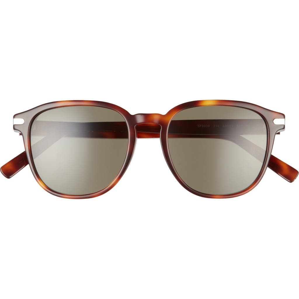 Ferragamo Timeless 53mm Rectangular Sunglasses In Brown