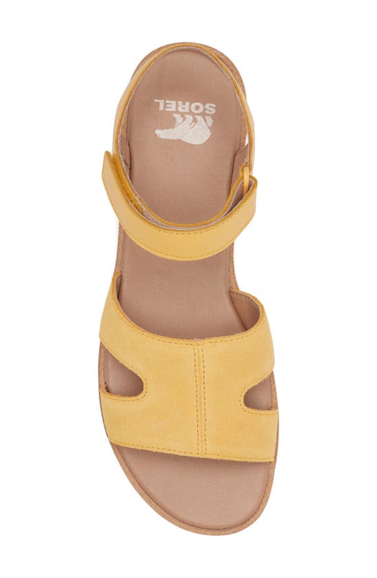Shop Sorel Ella Iii Ankle Strap Sandal In Yellow Ray/ Gum 16