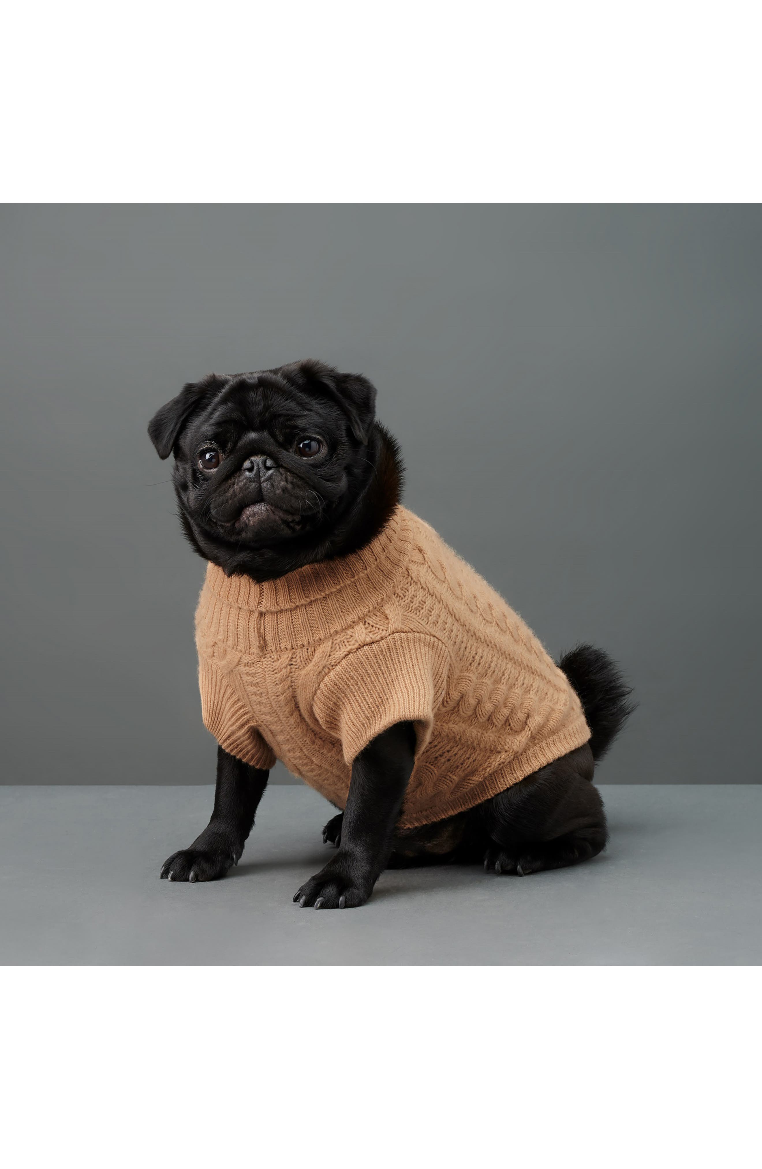 vince dog sweater