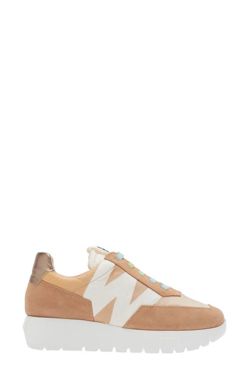 Shop Wonders Odisei Sneaker In Trend Natural/nylon Sand