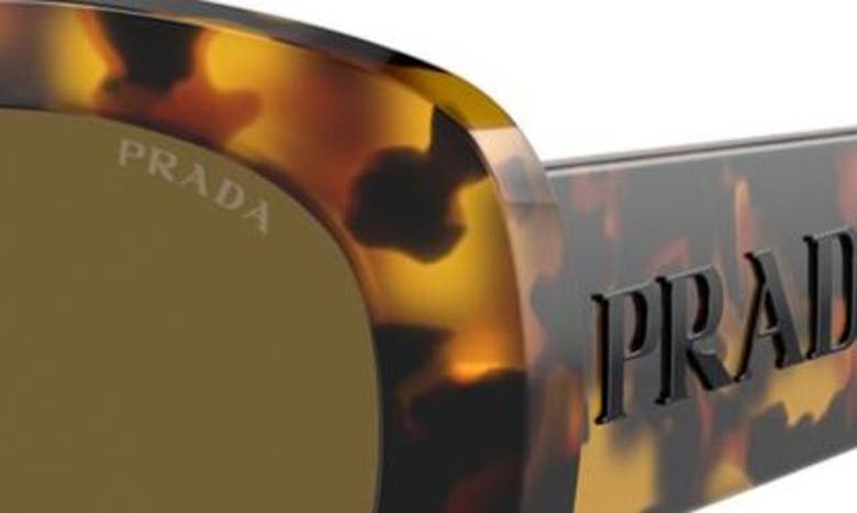 Shop Prada 54mm Oval Polarized Sunglasses In Dark Brown