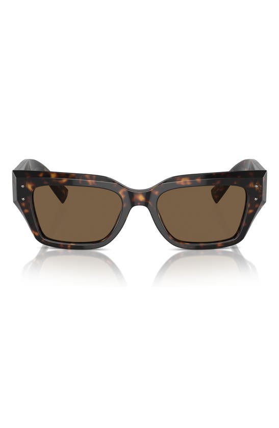 Dolce & Gabbana 52mm Cat Eye Sunglasses In Havana