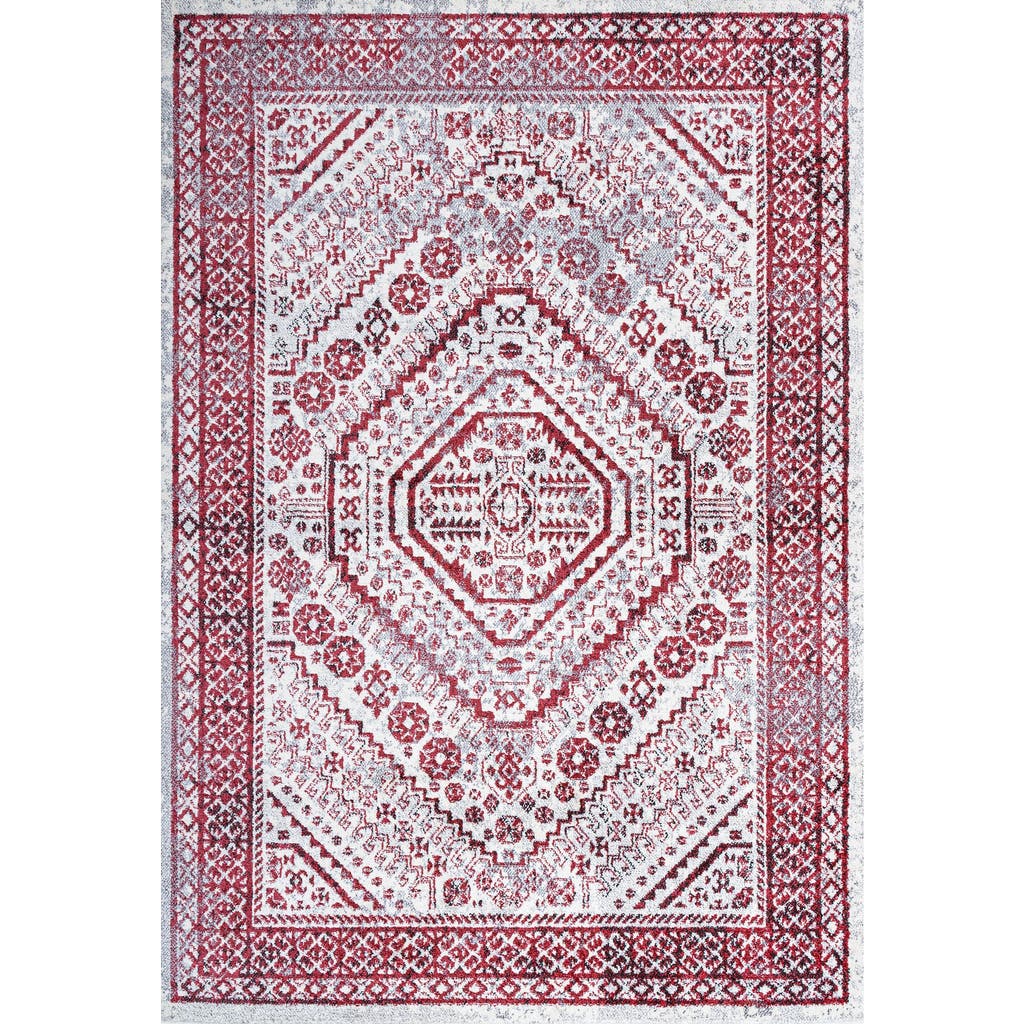 Jonathan Y Boho Cottage Medallion Area Rug In Red/ivory