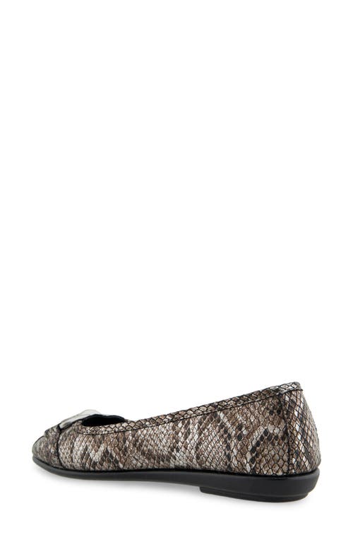 AEROSOLES AEROSOLES BENTLEY BALLET FLAT