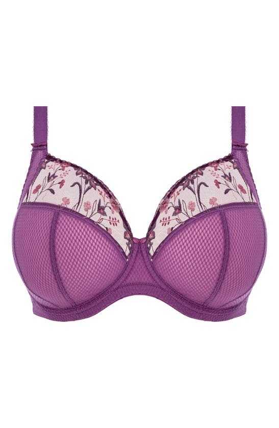Elomi Charley Full Figure Underwire Plunge Bra In Pansy | ModeSens