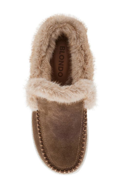 Shop Blondo Victor Waterproof Faux Fur Slipper In Taupe Suede