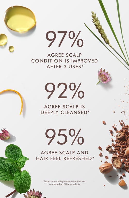 Moroccanoil ® Purifying Pre-wash Scalp Scrub In No Color