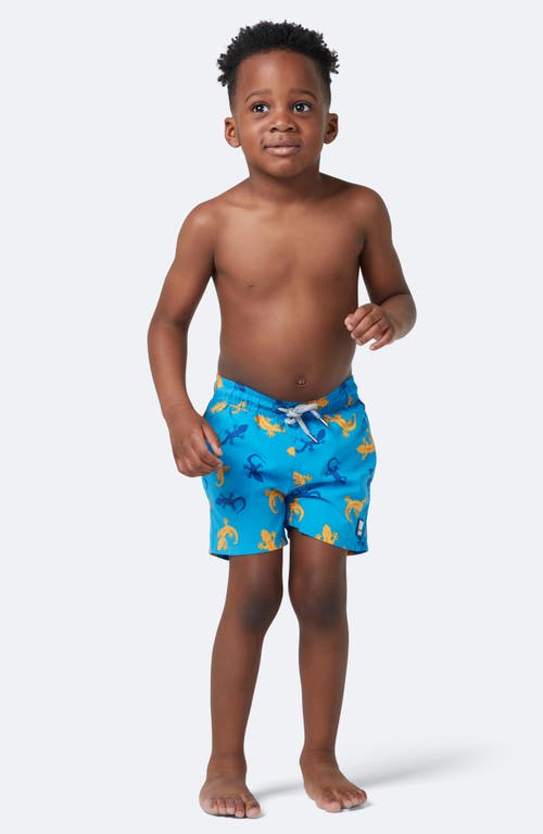 Tom & Teddy Kids' Gecko Swim Trunks In Blue/orange
