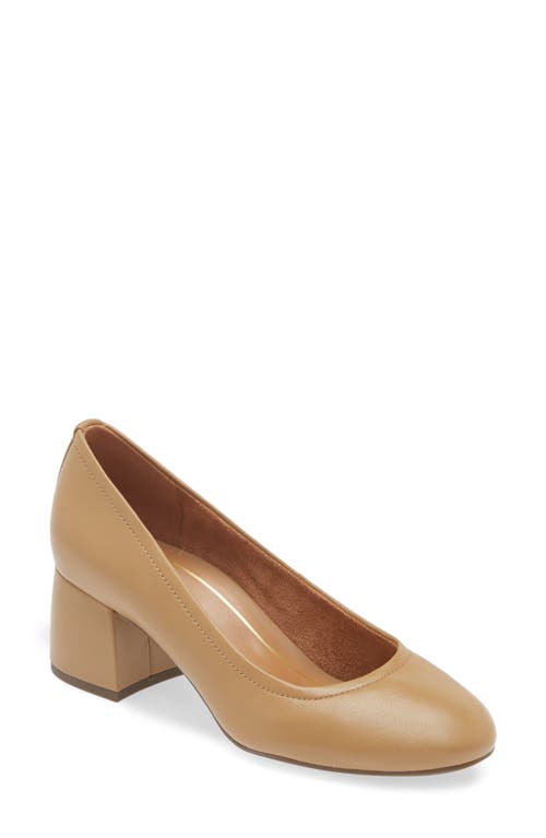 Carmel Pump in Camel